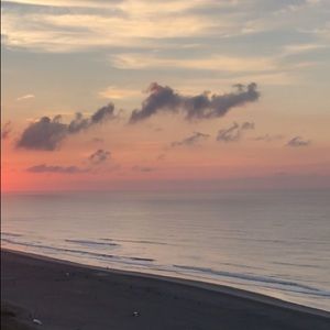 Meet your Posher, Eva